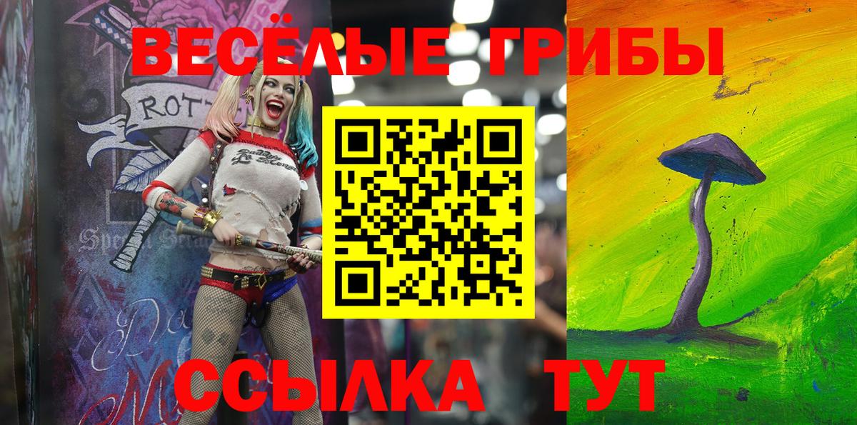 Псилоцибиновые грибы Psilocybe Комсомольск-на-Амуре
