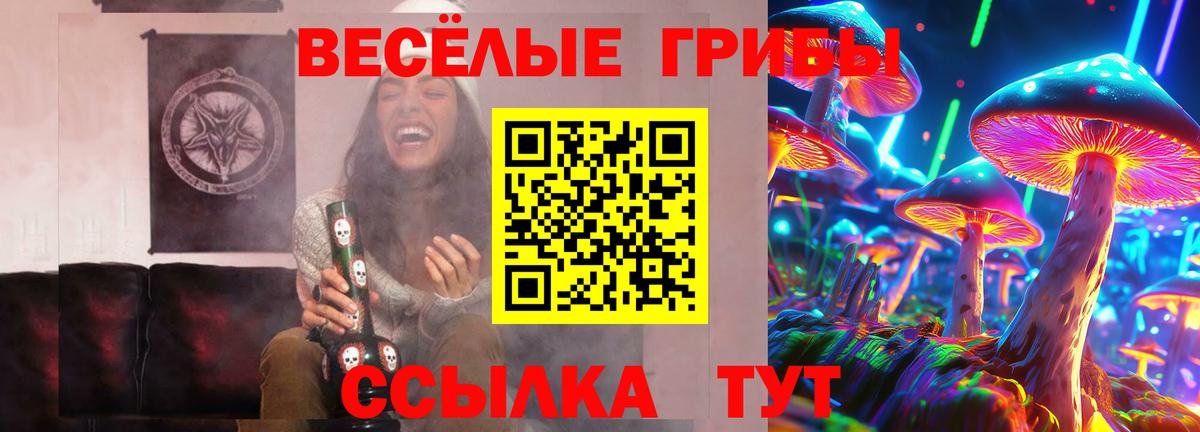 Галлюциногенные грибы Psilocybine cubensis  Галлюциногенные грибы Magic Shrooms  купить   Комсомольск-на-Амуре  Вход с VPN 